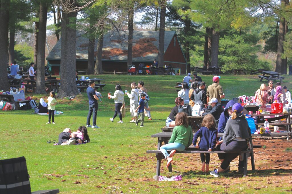 local park scene